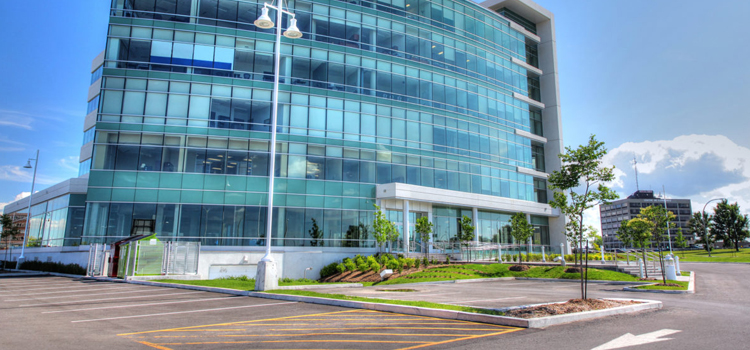 commercial glass door repair Winter Gardens