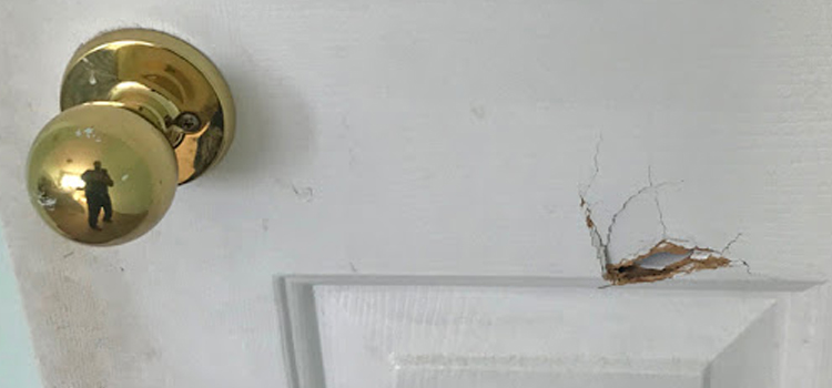 interior door hole repair Winter Gardens