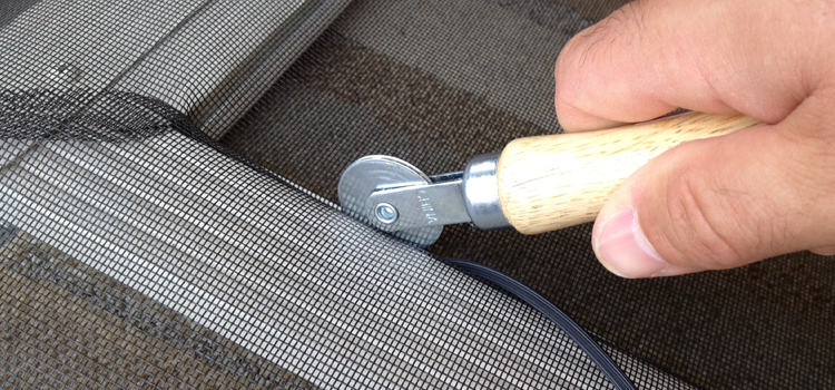 metal screen door repair in Winter Gardens