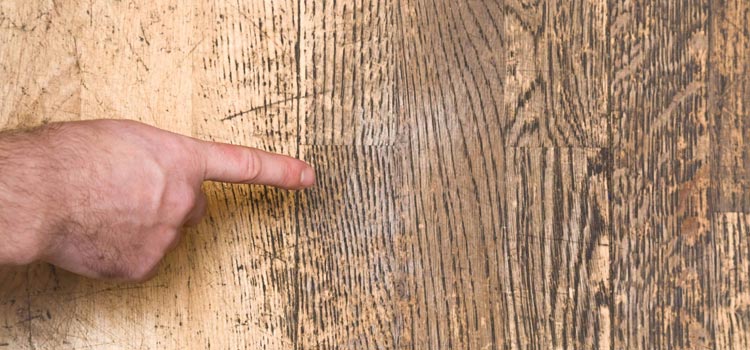 Wood Door Scratch Repair in Winter Gardens